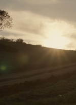 ftwd302_2739.jpg