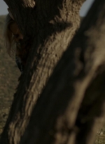 ftwd302_2746.jpg