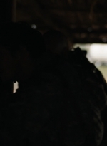 ftwd305_1785.jpg