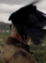 ftwd305_1899.jpg