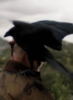 ftwd305_1900.jpg