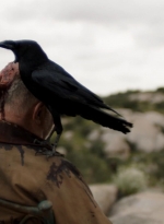 ftwd305_1902.jpg