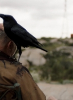 ftwd305_1903.jpg