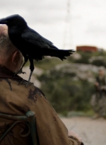 ftwd305_1904.jpg