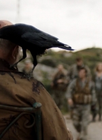 ftwd305_1906.jpg
