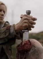 ftwd305_1949.jpg
