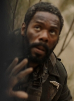 ftwd311_1113.jpg