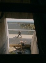 ftwd315_2991.jpg