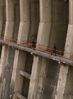 ftwd315_2992.jpg