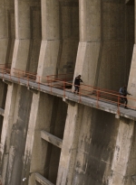 ftwd315_2993.jpg
