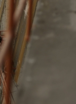 ftwd315_2995.jpg