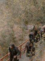 ftwd315_2999.jpg