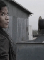 ftwd403_0814.jpg