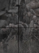 ftwd403_1725.jpg