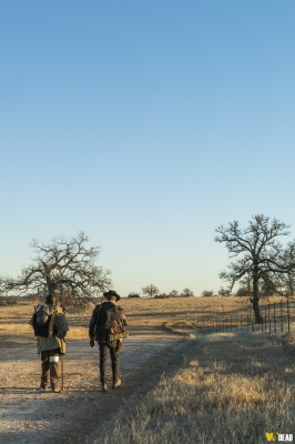 fear-the-walking-dead-s04e05-laura-003.jpg