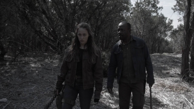 ftwd409_1328.jpg