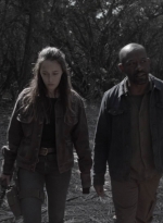 ftwd409_1336.jpg