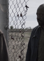 ftwd409_1502.jpg