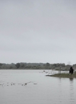 ftwd413_0720.jpg