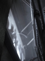 ftwd414_1262.jpg