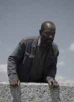 ftwd415_1491.jpg