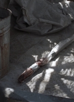 ftwd506_2115.jpg