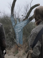 ftwd508_1201.jpg