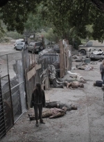 ftwd512_1018.jpg