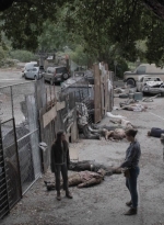 ftwd512_1025.jpg