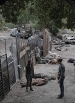 ftwd512_1026.jpg