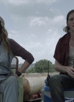 ftwd512_1219.jpg