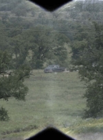 ftwd512_1224.jpg