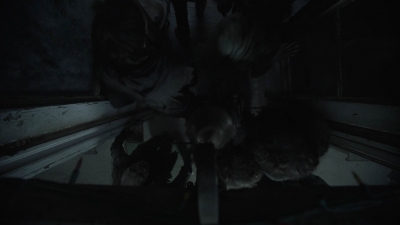 ftwd513_1873.jpg