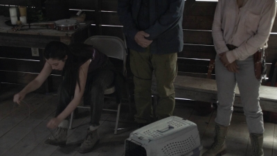 ftwd516_1580.jpg