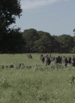 ftwd516_0901.jpg