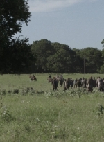 ftwd516_0903.jpg