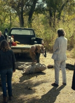 ftwd614_scnet_1787.jpg