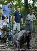 the-walking-dead-s01e03-tell-it-to-the-frogs-bastidores-006.jpg