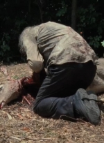 twd1x03_0596.jpg