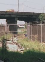 WD104BD_8403.jpg