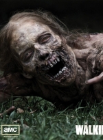 the-walking-dead-1-temporada-wallpapers-003.jpg