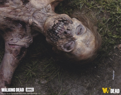 The Walking Dead 1Âª Temporada
