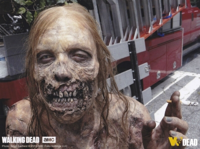 The Walking Dead 1Âª Temporada
