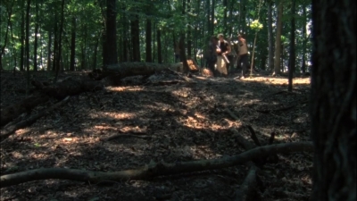 twd2x01_1197.jpg