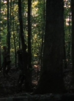 twd2x01_1523.jpg