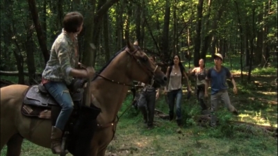 twd2x02_0703.jpg