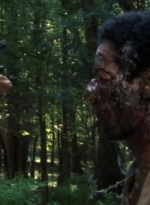 twd2x02_0719.jpg