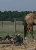 twd2x04_0586.jpg