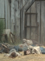 twd2x07_0997.jpg