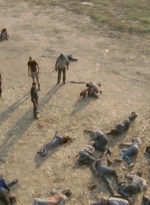 twd2x07_1083.jpg